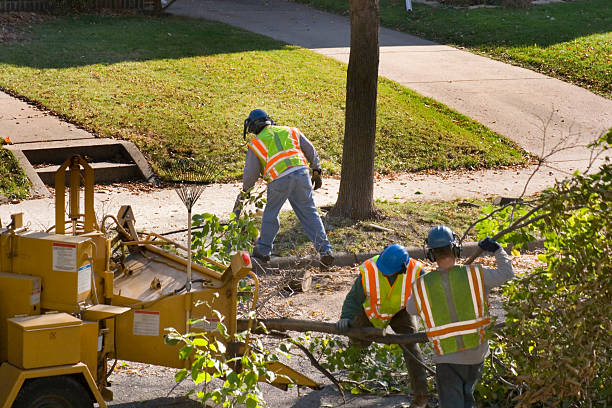 Mulching Services in Gratton, VA